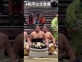 新序出世披露✨朝青龍の甥 天狼星や 武蔵丸の甥 光武蔵など 【大相撲令和7年1月場所】中日 2025/1/19 new debut HIKARUMUSASHI TENROSEI