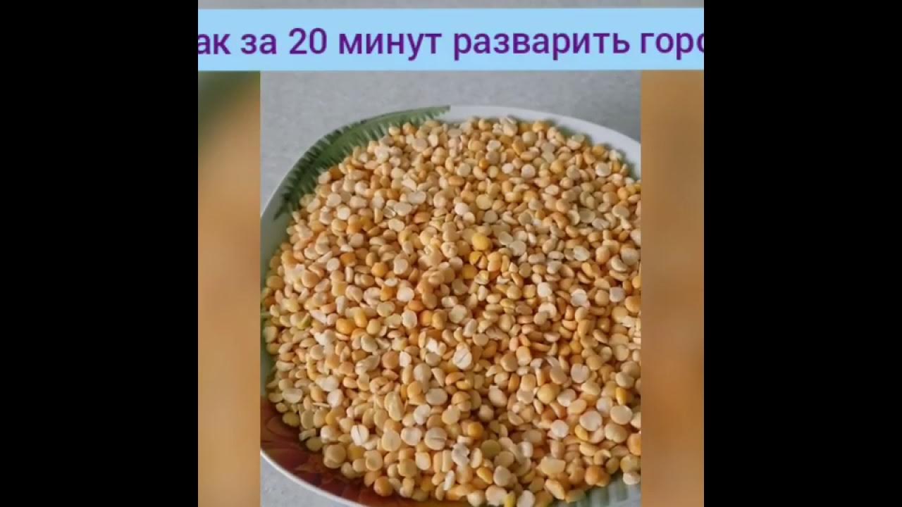 Вареный горох. Как заваривать горох. Вареный горох. Как быстро сварить горох. Горох дробленый вареный.