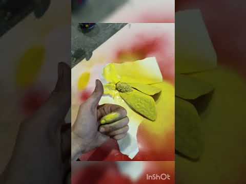 Wideo: Moth - owad rozpieszczony i z charakterem