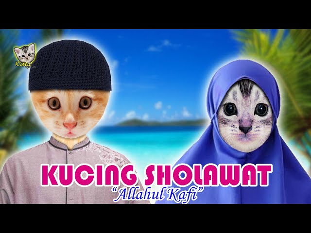 KUCING LUCU SHOLAWATAN ALLAHUL KAFI || Kitty Kucing Lucu class=