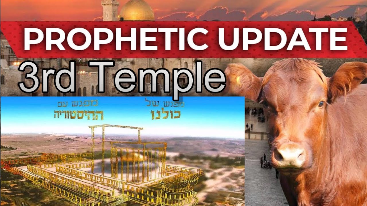 The Ceremony of The Red Heifer Will Likely Occur On Passover of 2024