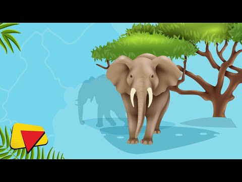 Afrika Hayvanlarını Öğreniyoruz! (Zebra, Zürafa, Fil, Aslan ve Dahası) | Çocuklar İçin Eğitici Video