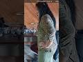 Mother Snaps On Daughter After Finding Out She’s Been Stealing From Job