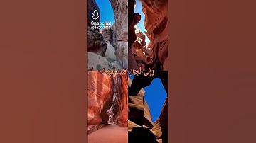 افلا ينظرون الى الابل كيف خلقت //للقارئ الشيخ عبد الرحمن مسعد