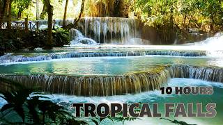 Tropical Waterfall Sounds for Sleeping • Rainforest Ambience • 10 Hours