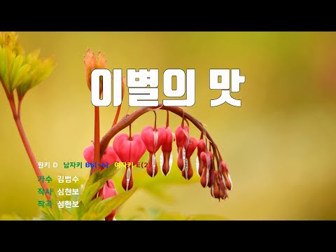[은성 반주기] 이별의맛 - 김범수