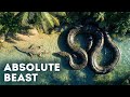 Snakes So Terrifying, Even Titanoboa Wasn’t the Worst
