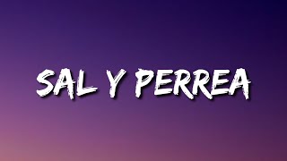 Sech - Sal y Perrea (Letra/Lyrics/Song)