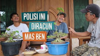 Pohon Mati Tanggung Jawab Trainer? Ngobrol Santai Bersama Mas Sinyot (Juragan) dan Mas Ben (Trainer)