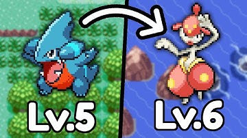 Pokemon Emerald Race BUT they Evolve EVERY LEVEL