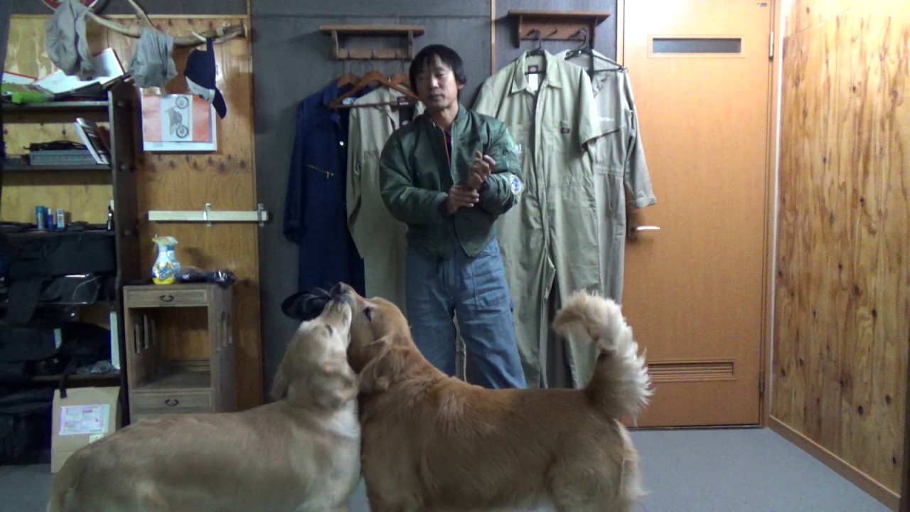 お知らせ】今年もMA-1を受注生産致しますが・・・！犬ッッッ！！ - YouTube