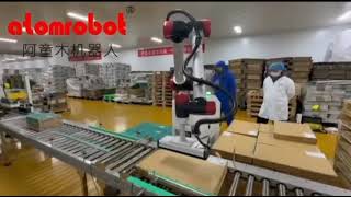 The  palletizing robot can collaborative with you