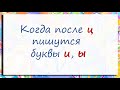 Русский язык. Правописание и, ы после ц. Видеоурок