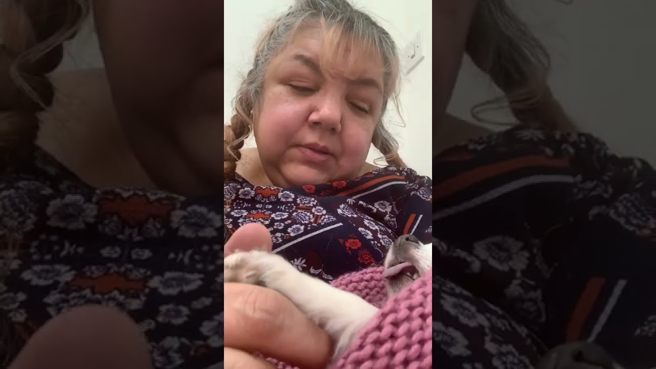 My Final Goodbye To Princess Rozie Pozie, The Little Diva Chihuahua… I Miss You So Much Baby Girl x