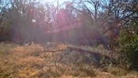 Homes for Sale - 00 Willowwood Azle TX 76020 - The...