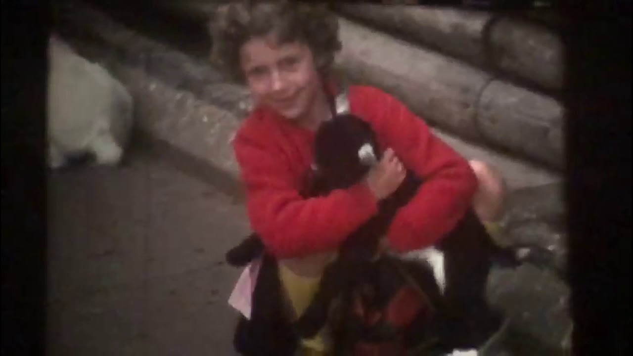 Tuff Tuff Tuff Wir Fahren In Den Zoo WIDERSTAND DER DINGE - Wir fahren in den Zoo - YouTube