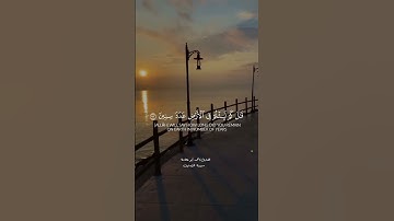 تلاوة هادئة من سورة المؤمنون بصوت القارئ : احمد ابو خضرة🎧