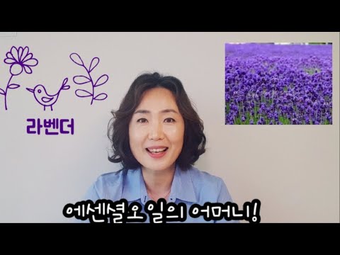 유칼립투스오일 추천