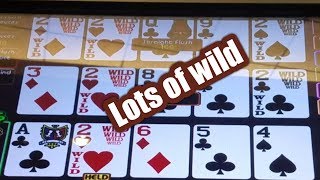 viedo poker | Duece wild | texas Multiple X | poker beginning . screenshot 5