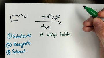 Pathway determination (E1, E2, SN1, SN2)