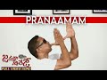 Pranaamam cover song by nandepu ramesh  jantha garage  ntr koratalasiva samantha dsp