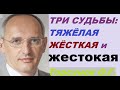 Три вида судьбы: тяжёлая, жёсткая и жестокая. Торсунов О. Г.