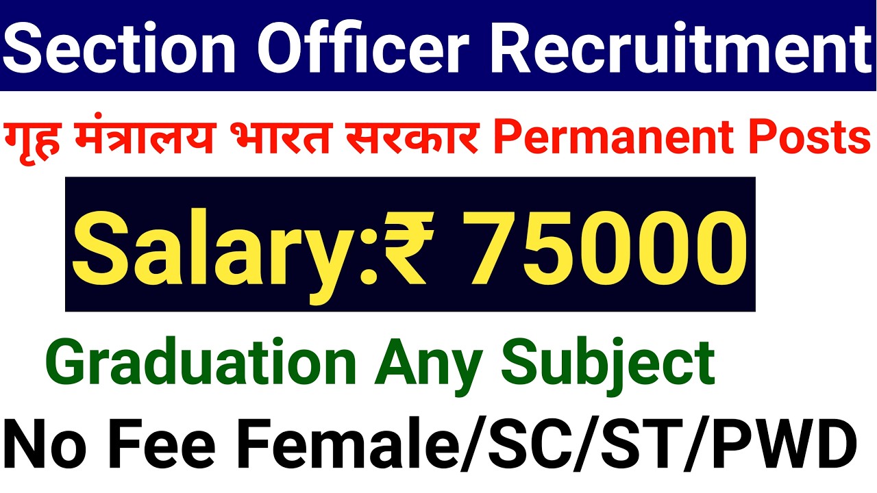 SECTION OFFICER PERMANENT CENTRAL GOVT ANY GRADUATE RECRUITMENT 2026