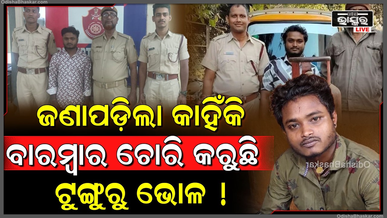 ଜଣାପଡ଼ିଲା କାହିଁକି ବାରମ୍ବାର ଚୋରି କରି ଗିରଫ ହେଉଛି ଟୁଙ୍ଗୁରୁ ଭୋଳ.. ପୋଲିସ ଆଗରେ ମାନିଲା ସତ