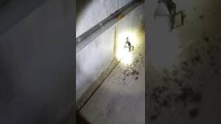 SCI Cresson Tunnels-Full Walk-through