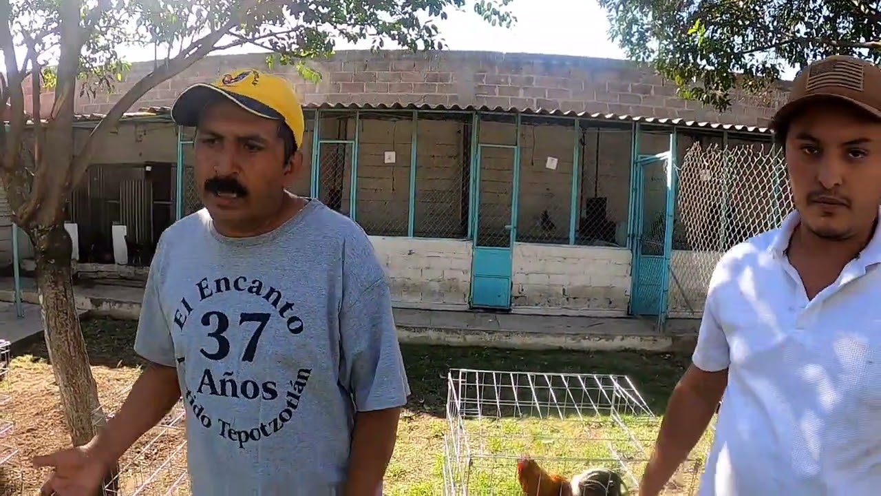 Marcos kviat criadero el encantó partido de tepozotlan