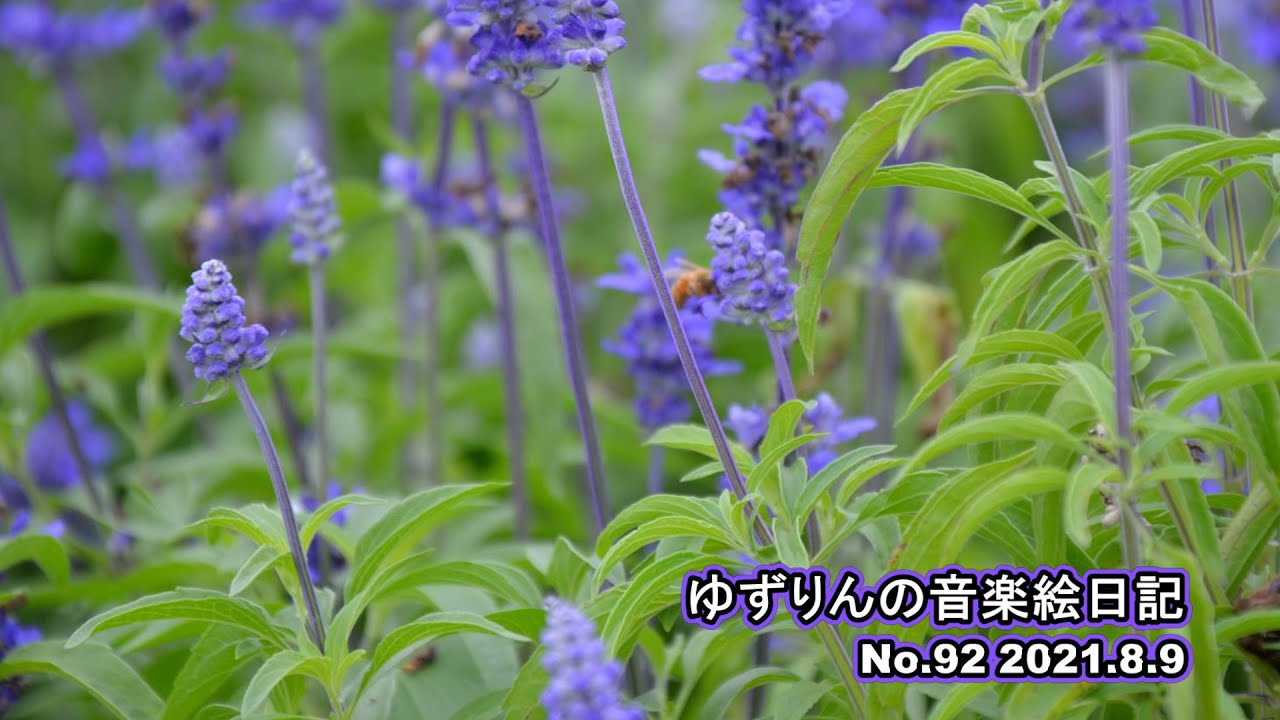 生命歌いましょう 大切な人 を思いながら 今年もこの曲を歌います クリスマスのプレゼントを書いているのは ドイツのアンナちゃん 12歳です その願いが 世界に届きますように 生命歌いましょう Youtube