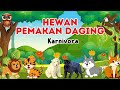 Hewan Pemakan Daging - Karnivora | Belajar Bahasa Inggris - Kids Learning