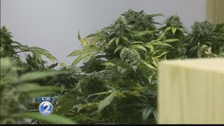 Hawaii to launch cashless payment system for medical cannabis
