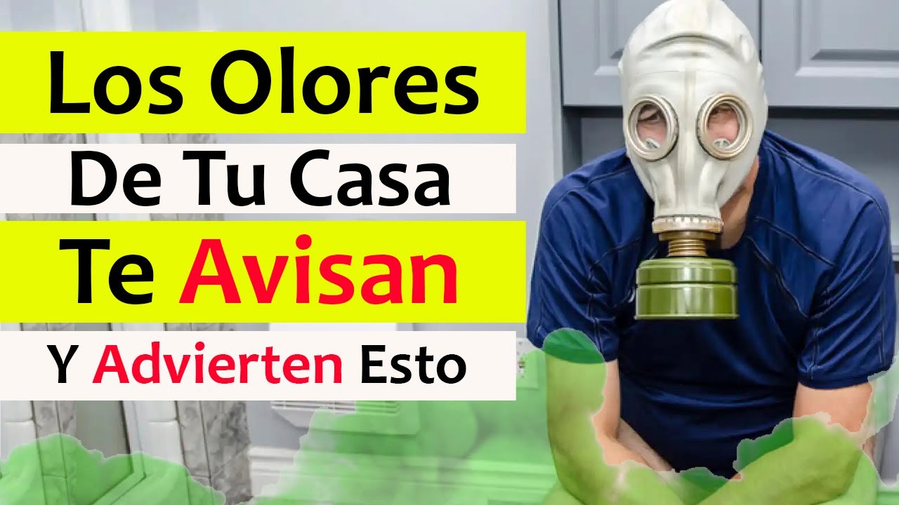 Estos 18 OLORES en Tu CASA Te AVISAN o Te ADVIERTEN SIGNIFICADO del