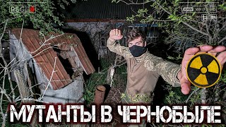 Охота на мутантов в Чернобыле. Оставил скрытые камеры в заброшенной деревне в Зоне Отчуждения