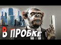 Московские пробки. Разбой в пробках, в Москве. Почему москвичи такие злые?