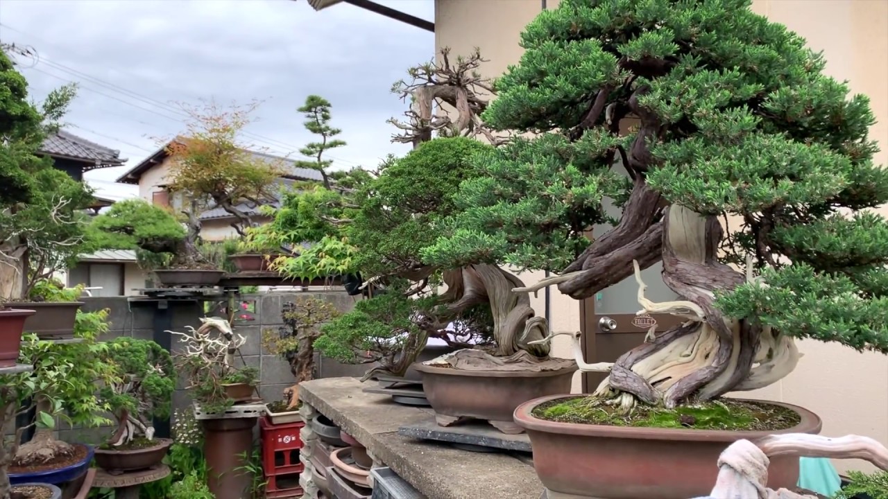 Ryokuzan nursery. 2019. Master. Yamahata - YouTube