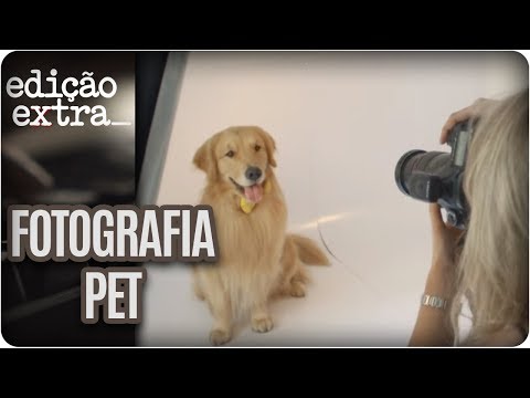 Vídeo: Crianças órfãs não tinham ninguém para se virar até que os cães vadios cuidaram delas