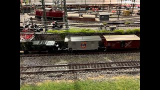 Märklin Krokodile in Öhringen