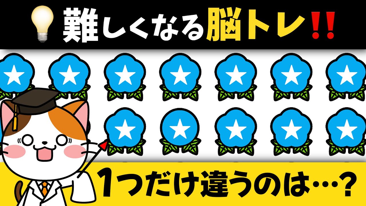 パッと見てわかれば凄い❗️夏のお花がテーマの難しくなる問題で脳トレ・目トレに💡【夏のお花編】