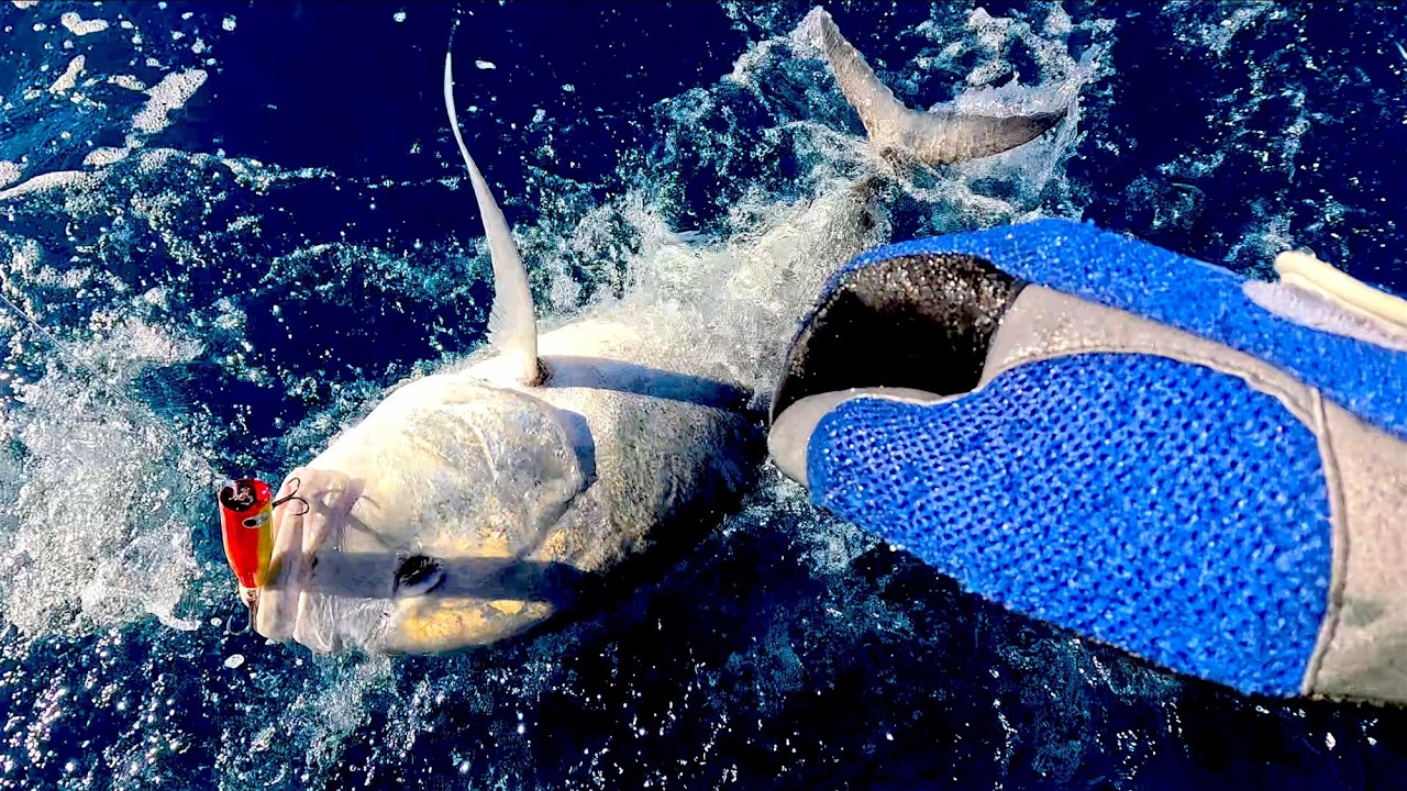 GT Fishing | Я ПОПАЛ МОНСТРА! | Возможные 50 кг