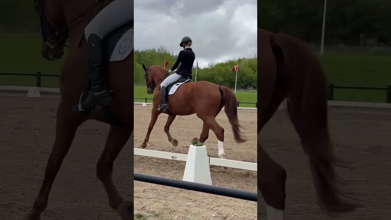 Things Frederikke MB2 b-stævne AA