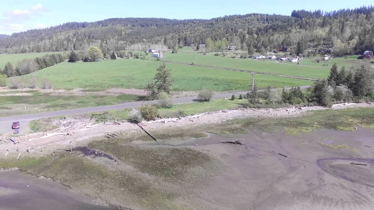 Quilcene Bay Tidelands YouTube