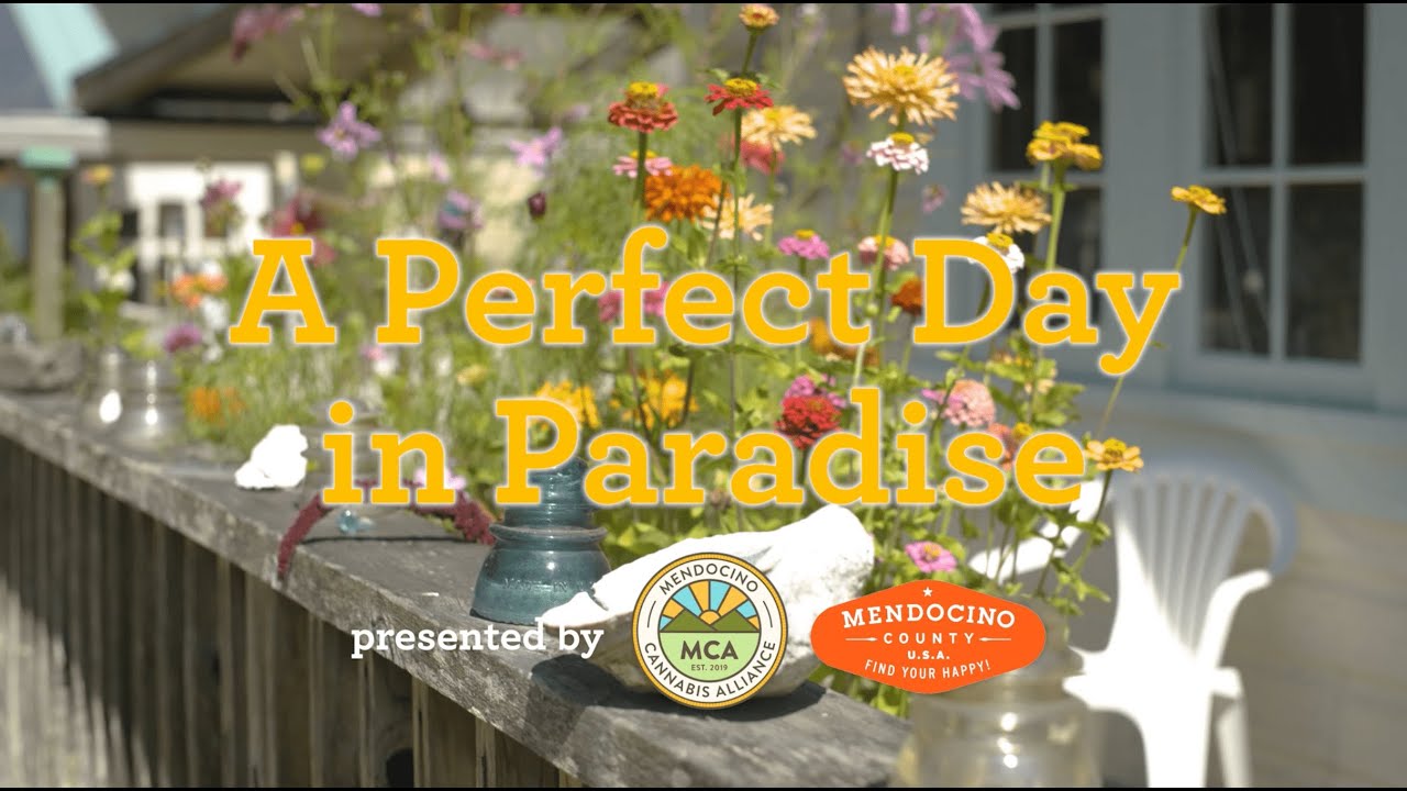 A Perfect Day in Paradise with Ranger R. Green