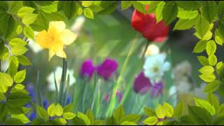 Easter slideshow screenshot 3