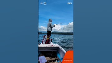 Pulau Tenggelangga, Tolitoli