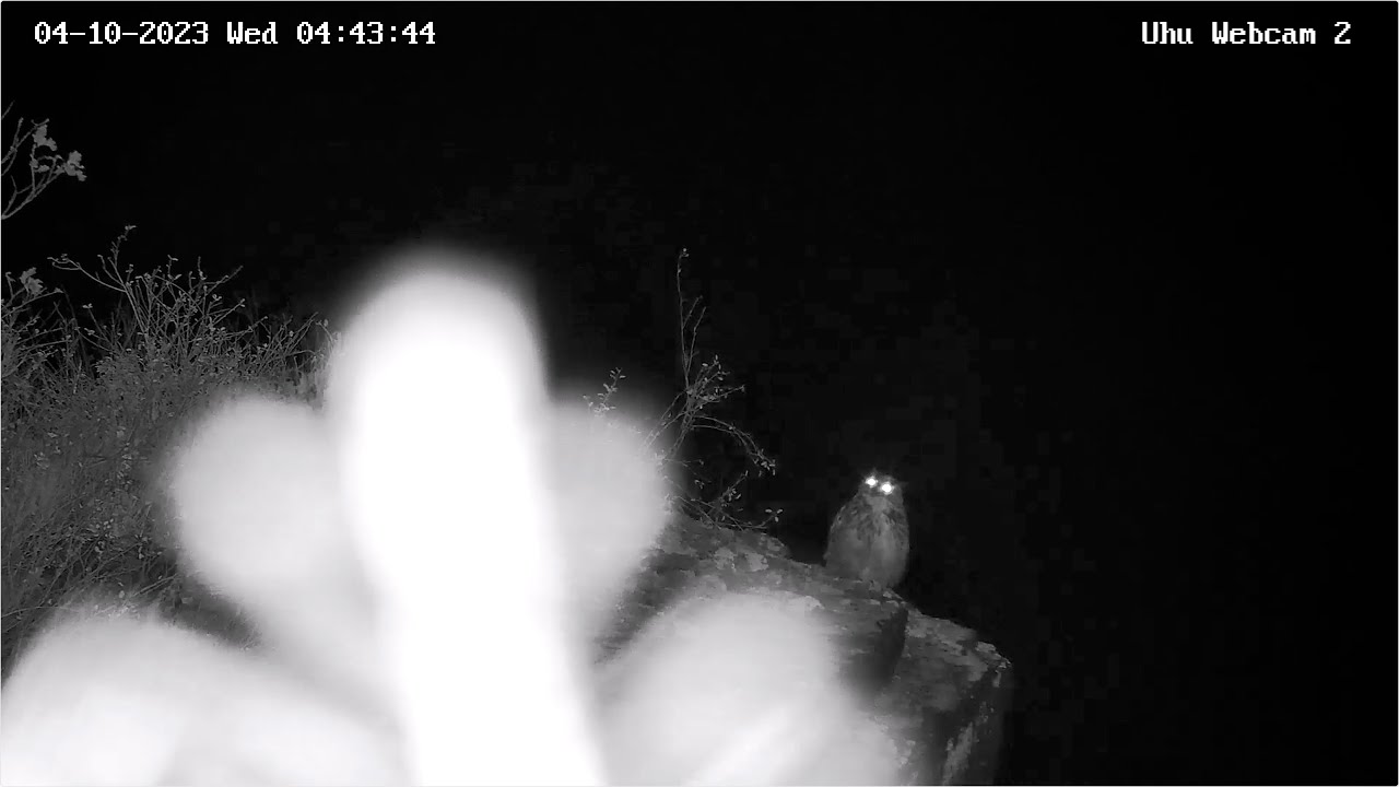 04.10.2023: Ohren gespitzt!