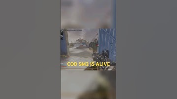 SM2 Supports Controllers!