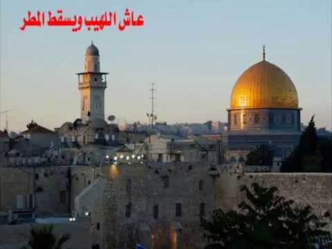 يا غزة معذرة ومثلي ليس يعتذر