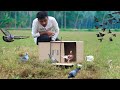 🐤🐤How to Make a Bird Trap |  പ്രാവിനെ ഇനി വളരെ സിമ്പിളായി പിടിക്കാം 😁😁 | Black Paper